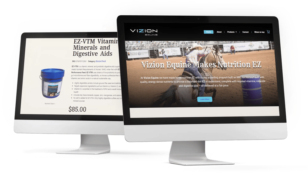 Mac screen mockups of Vizion Equine website, featuring 44 Creative's Horse Website Design